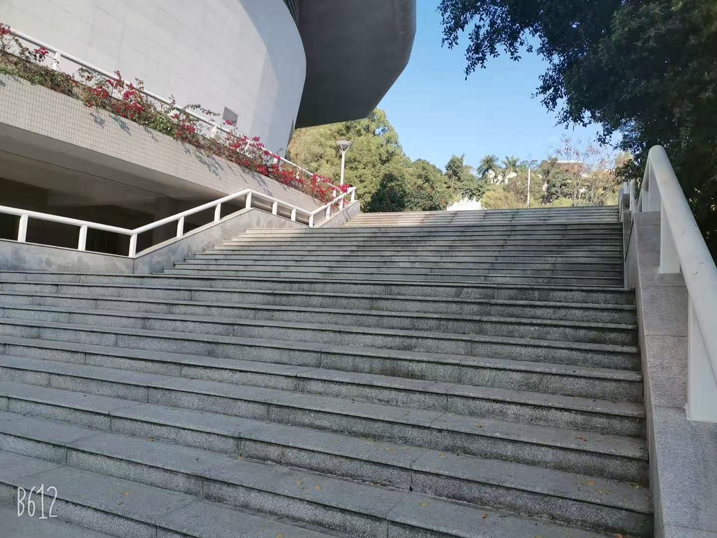 s蔬菜得生活录